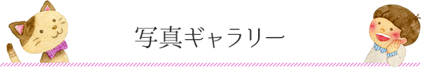 写真ギャラリー